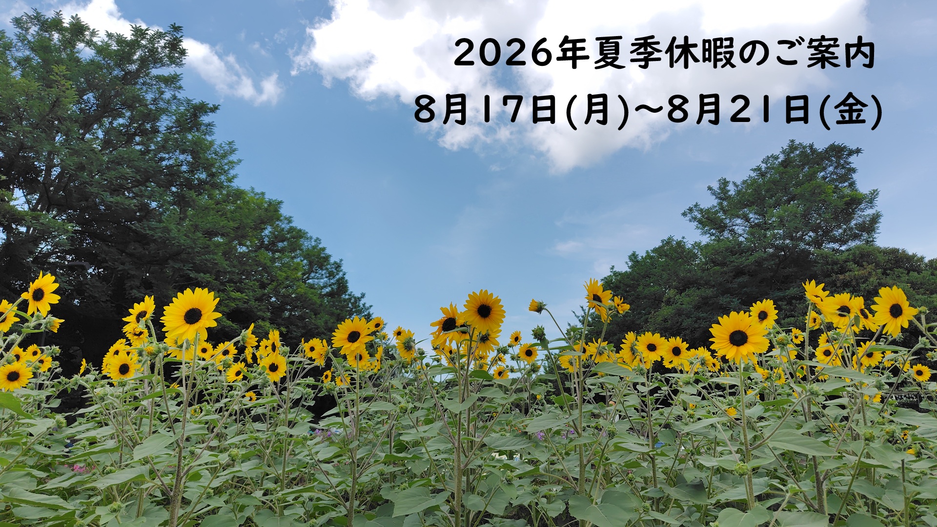 2026年夏季休暇ご案内